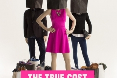 the-true-cost
